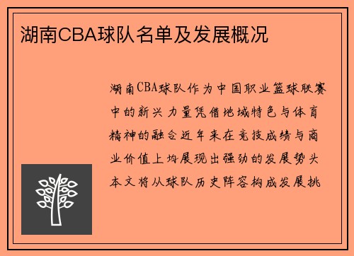 湖南CBA球队名单及发展概况